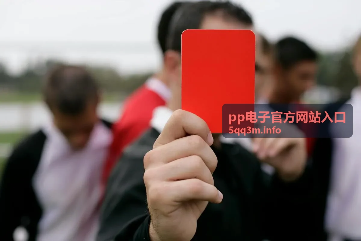 pp电子官方网站入口官方入口指南