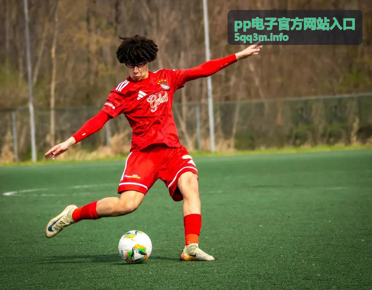 pp电子官方网站入口服务承诺与标准